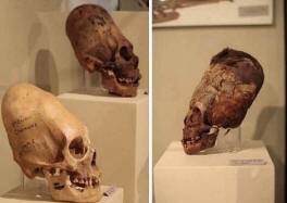 Доказано - жившие 3.000 лет назад в Перу паракасцы не были людьми