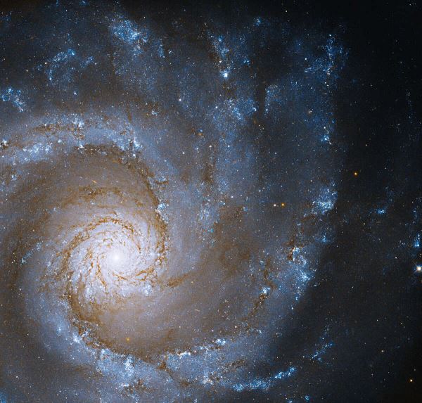 Грань огромной спирали Grand Design NGC 3631 в объективе «Хаббл»