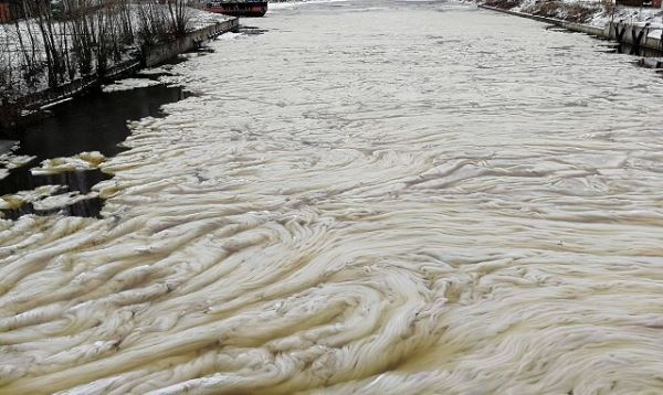 Редкое природное явление заметили на реке в Петербурге