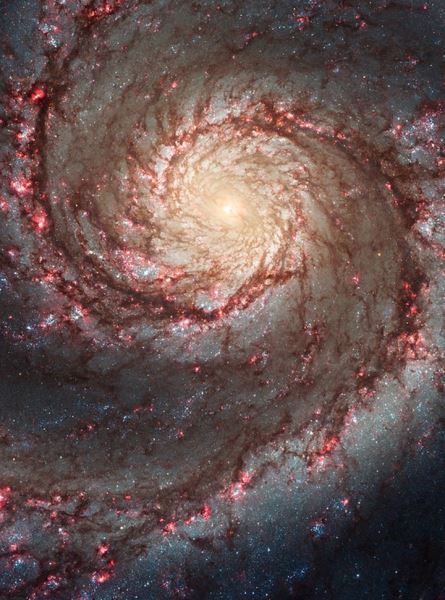 Телескоп Хаббл запечатлел завораживающее массивное звездное скопление в спиральной галактике