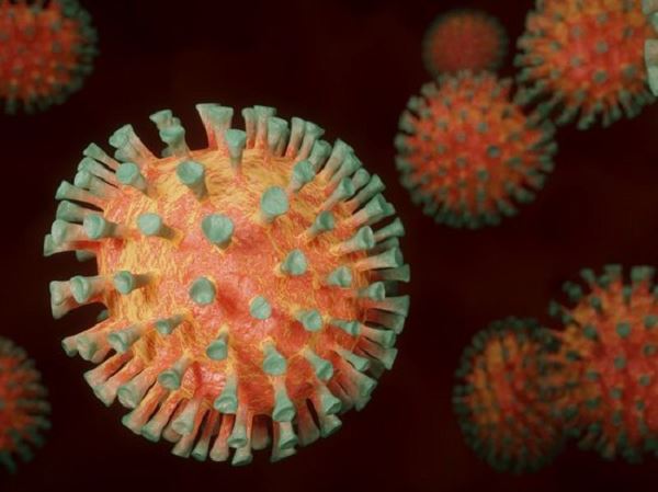 Выращенные на МКС белки коронавируса пока не удалось изучить из-за санкций против России